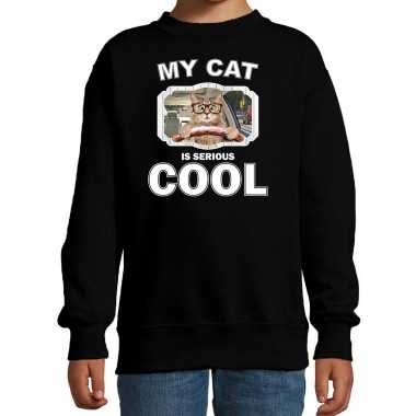 Auto rijdende katten / poezen trui / sweater my cat is serious cool zwart kinderen