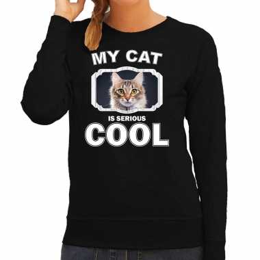 Bruine kat katten sweater / trui my cat is serious cool zwart dames