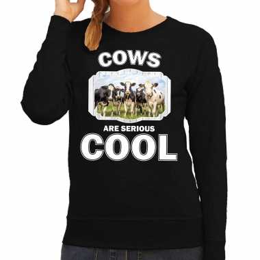 Dieren kudde koeien sweater zwart dames cows are cool trui