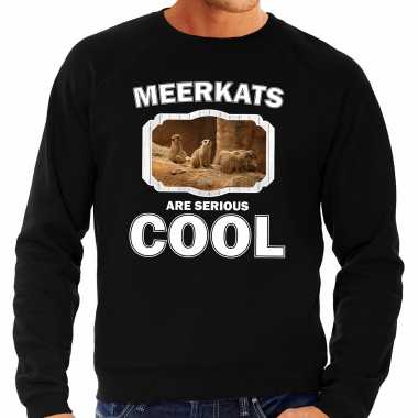 Dieren stokstaartje sweater zwart heren meerkats are cool trui