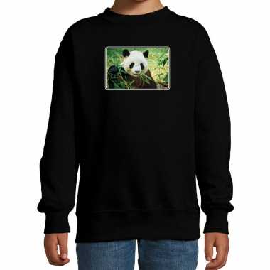 Dieren sweater / trui pandaberen foto zwart kinderen
