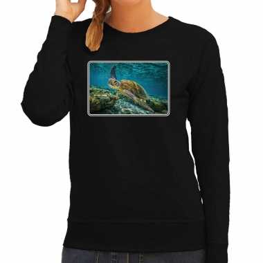 Dieren sweater / trui schildpadden foto zwart dames