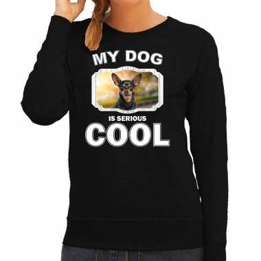 Dwergpinscher honden sweater / trui my dog is serious cool zwart dames