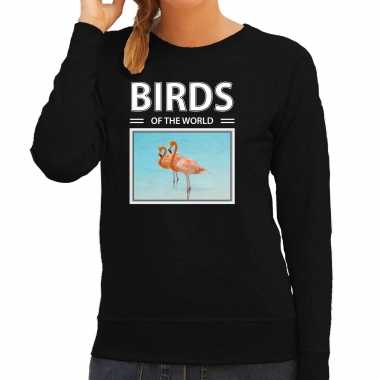 Flamingo vogel sweater / trui dieren foto birds of the world zwart dames