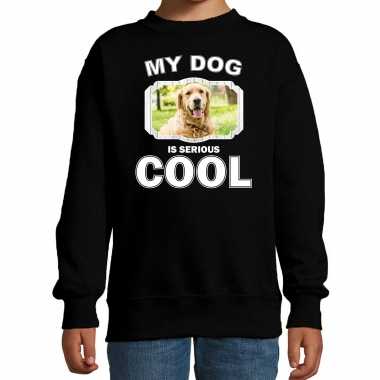 Golden retriever honden trui / sweater my dog is serious cool zwart kinderen