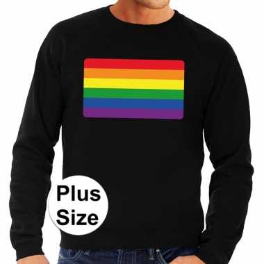 Grote maten gay pride regenboog vlag sweater zwart heren