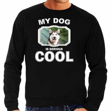Husky honden sweater / trui my dog is serious cool zwart heren