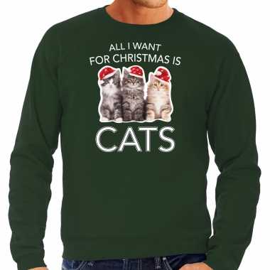 Kitten kerst sweater / outfit all i want for christmas is cats groen heren