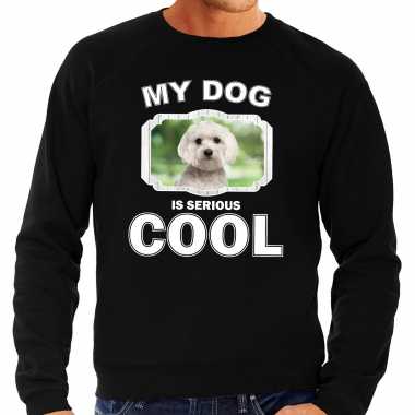 Maltezer honden sweater / trui my dog is serious cool zwart heren