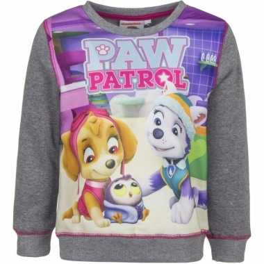 Paw patrol sweater grijs