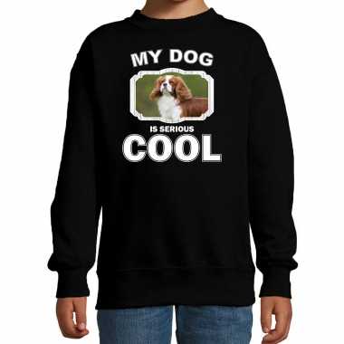 Spaniel honden trui / sweater my dog is serious cool zwart kinderen