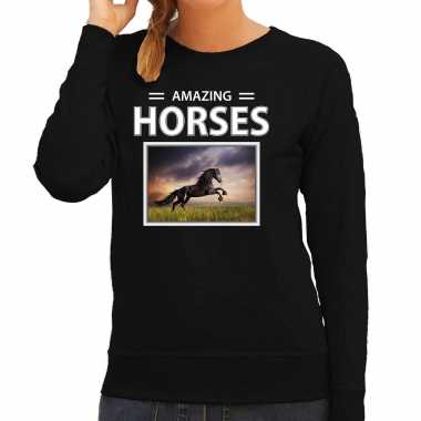 Zwarte paarden sweater / trui dieren foto amazing horses zwart dames