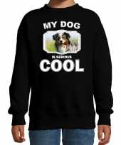 Australische herder honden trui sweater my dog is serious cool zwart kinderen