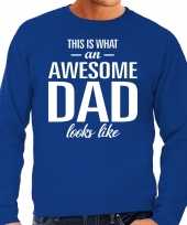 Awesome dad cadeau sweater blauw heren vaderdag cadeau