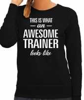 Awesome geweldige trainer cadeau sweater trui zwart dames