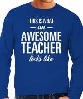 Awesome teacher leraar cadeau sweater blauw heren