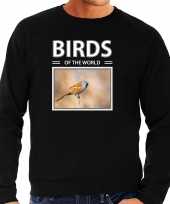 Baardmannetjes vogel sweater trui dieren foto birds of the world zwart heren