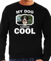 Berner sennen honden sweater trui my dog is serious cool zwart heren 10256663
