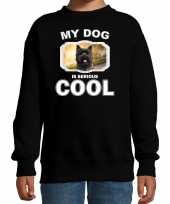 Cairn terrier honden trui sweater my dog is serious cool zwart kinderen 10256705