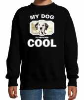 Dalmatier honden trui sweater my dog is serious cool zwart kinderen 10256692