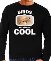 Dieren baardmannetje vogel sweater zwart heren birds are cool trui
