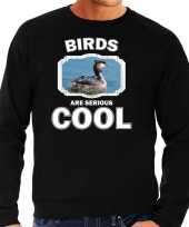 Dieren fuut vogel sweater zwart heren birds are cool trui