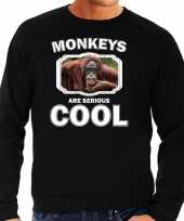 Dieren gekke orangoetan sweater zwart heren monkeys are cool trui