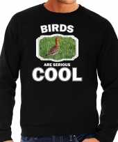 Dieren grutto vogel sweater zwart heren birds are cool trui