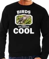 Dieren havik roofvogel sweater zwart heren birds are cool trui
