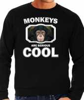 Dieren leuke chimpansee sweater zwart heren monkeys are cool trui
