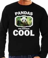 Dieren panda sweater zwart heren pandas are cool trui