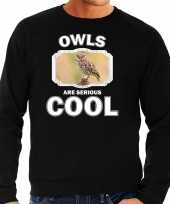 Dieren steenuil sweater zwart heren owls are cool trui