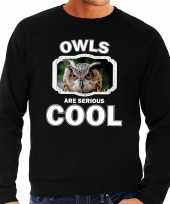 Dieren uil sweater zwart heren owls are cool trui