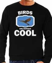 Dieren vliegende havik roofvogel sweater zwart heren birds are cool trui