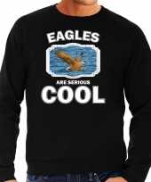 Dieren zeearend sweater zwart heren eagles are cool trui
