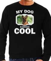 Duitse herder honden sweater trui my dog is serious cool zwart heren 10256659