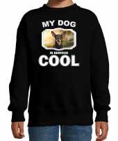 Dwergpinscher honden trui sweater my dog is serious cool zwart kinderen 10256701