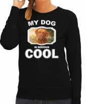 Franse mastiff honden sweater trui my dog is serious cool zwart dames