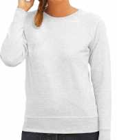 Grijze sweater sweatshirt trui raglan mouwen ronde hals dames