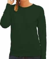 Groene sweater sweatshirt trui raglan mouwen ronde hals dames