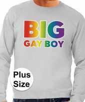 Grote maten big gay boy regenboog sweater grijs heren