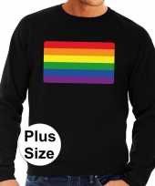 Grote maten gay pride regenboog vlag sweater zwart heren