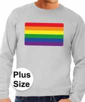 Grote maten regenboog vlag sweater grijs heren