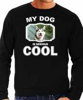 Husky honden sweater trui my dog is serious cool zwart heren 10256664