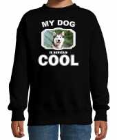 Husky honden trui sweater my dog is serious cool zwart kinderen 10256708