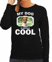 Jack russel honden sweater trui my dog is serious cool zwart dames