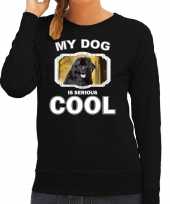 Newfoundlander honden sweater trui my dog is serious cool zwart dames