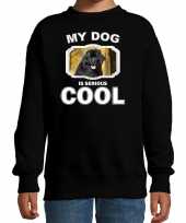 Newfoundlander honden trui sweater my dog is serious cool zwart kinderen 10256710
