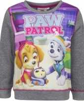 Paw patrol sweater grijs