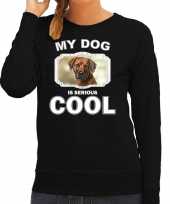 Rhodesian ridgeback honden sweater trui my dog is serious cool zwart dames